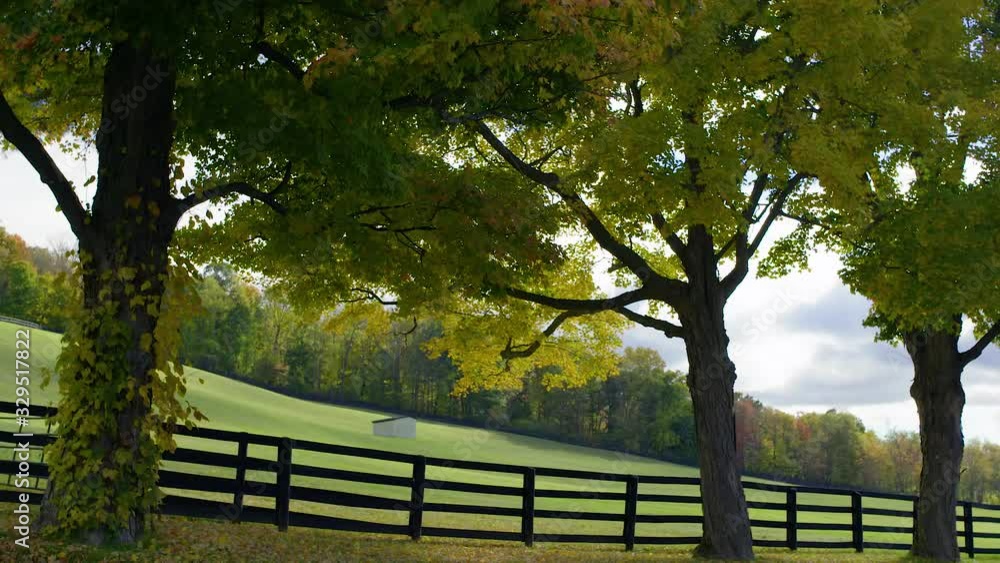 Trees and fenced hill of horse farm early autumn Trees and fenced hill of horse farm early autumn