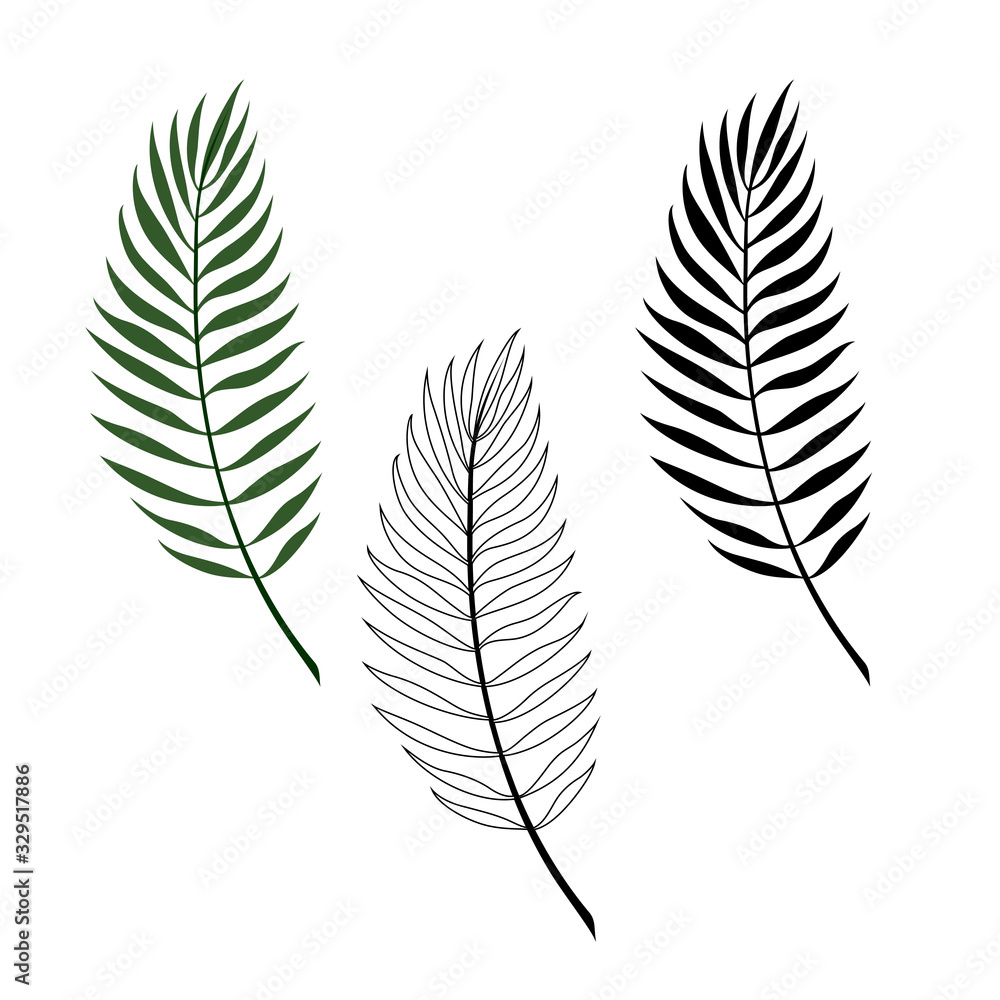 Fototapeta premium Set of tropical leaves of palm trees. Linear, silhouette, green leaf.