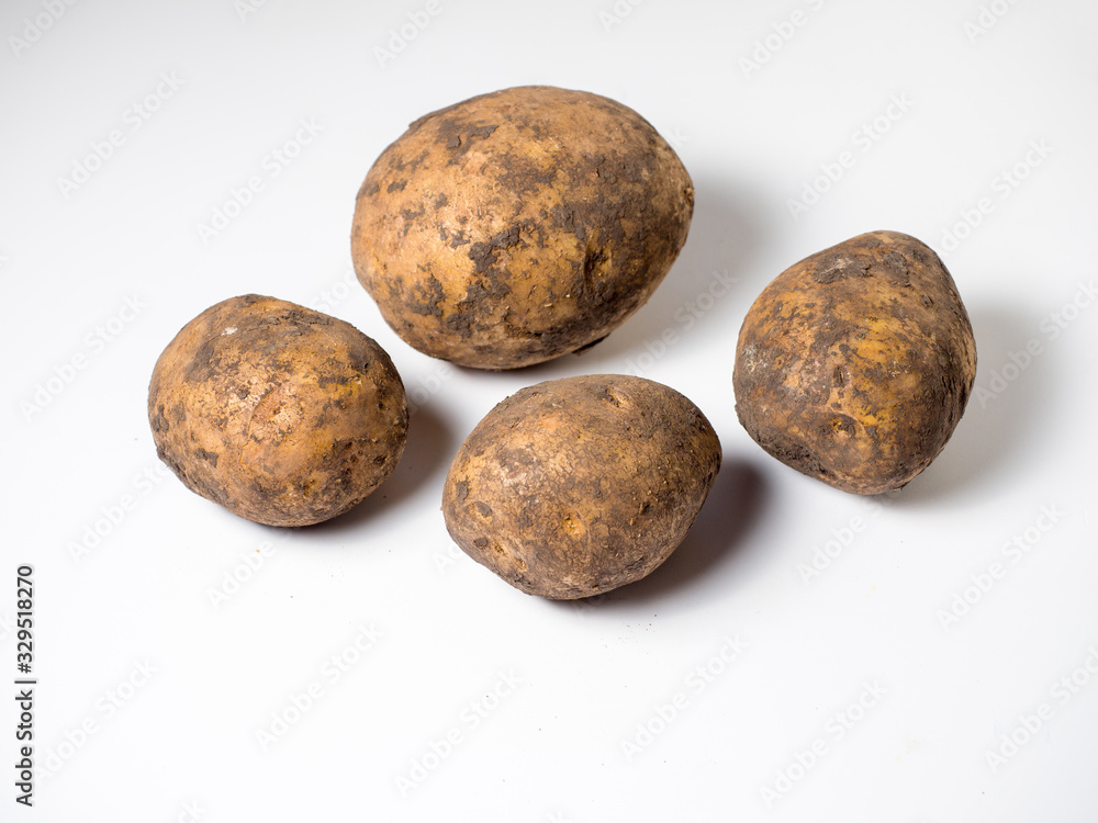 Potatoes in the ground on a white background. Studio photography Potatoes in the ground on a white background. Studio photography