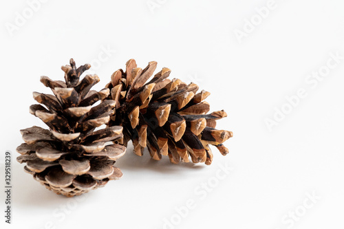 close up of natural two pinecones in brown color for decoration isolated on white background with copy space.