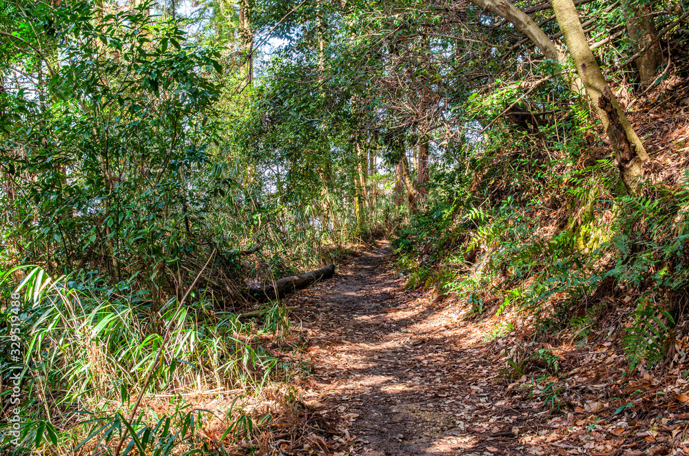 Obraz premium 京都一周トレイル 東山コース