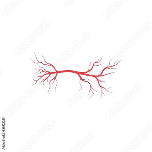 Arteries icon Vector Illustration design