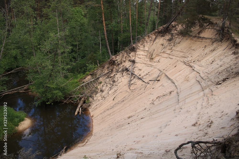 Large sand dune and a narrow small river in a pine forest Large sand dune and a narrow small river in a pine forest