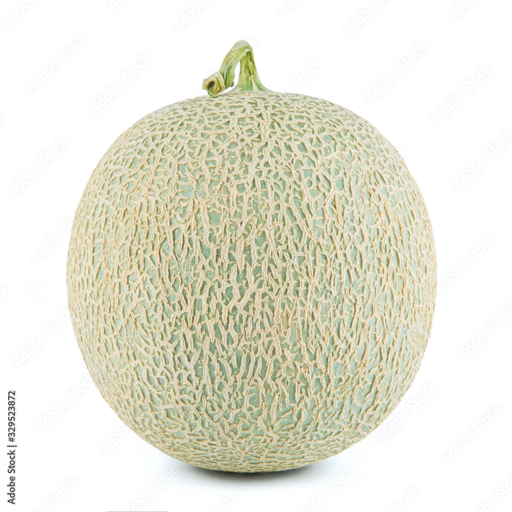 Fresh netted melon isolated on white background. Fresh netted melon isolated on white background.