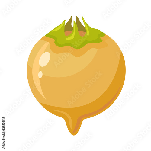 Color flat modern icon of  mature ripe mespilus germanica, medlar or common medlar on a white background isolated. Vector illustration. Apple and with unfolded permanent sepals, hollow appearance.
