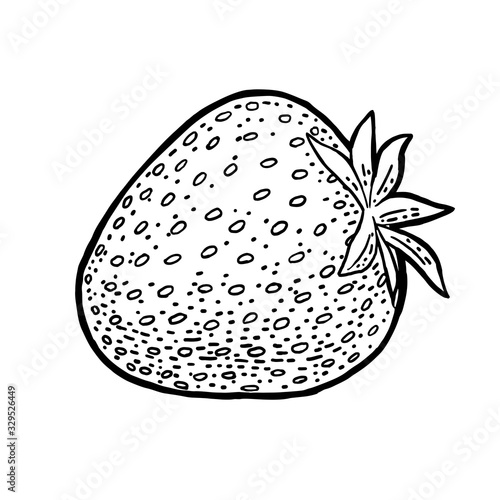 Whole strawberry. Engraving vintage vector black illustration.