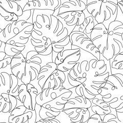 Fototapete Einlinien-Muster Monstera Blätter Schwarzweiss Linienmuster  © CoCoArt_Ua