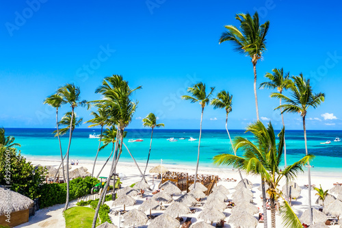 Fototapeta Naklejka Na Ścianę i Meble -  Aerial drone view of beautiful atlantic tropical beach with palms, straw umbrellas and boats. Bavaro, Punta Cana, Dominican Republic. Vacation background.