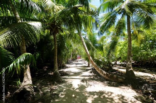 Chemin sur l   le curieuse Seychelles