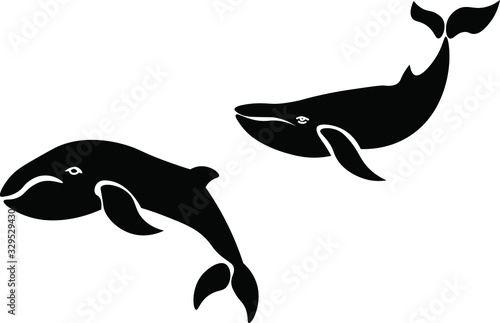Whales, animal  vector  isolated illustration on white background. Concept for logo, icon, print 