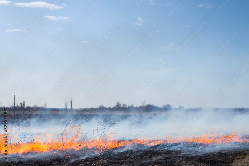Fototapeta premium Fire on the field, countryside.