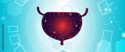 Human Bladder ,Technology with flat style.EPS10