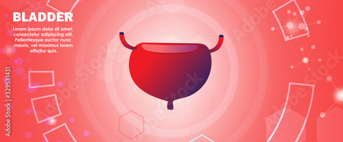 Human Bladder ,Technology with flat style.EPS10