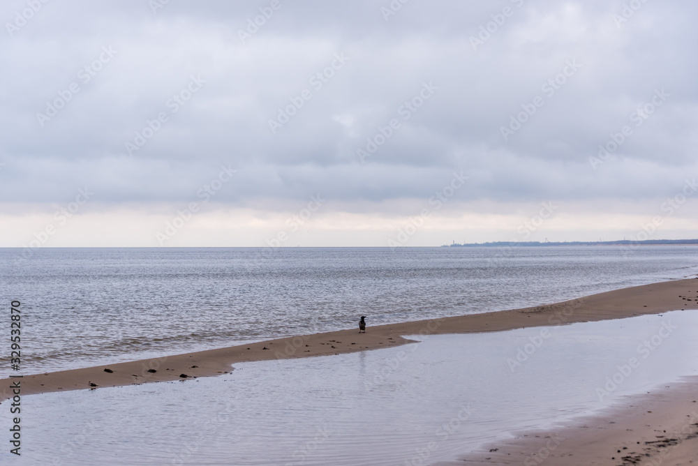 Baltic Sea Beach with Waves in the Winter