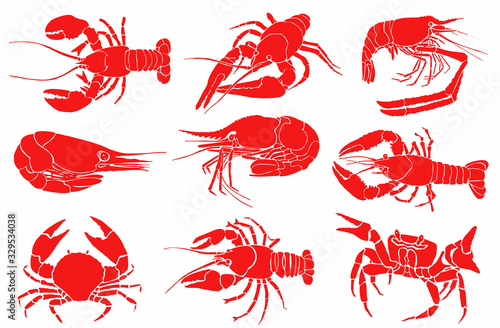 Graphical color set of sea food isolated on white background, vector illustration