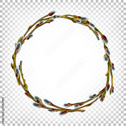 Realistic willow branches with beautiful bud and fluffy catkins. Vector round frame isolated on white transparent background.