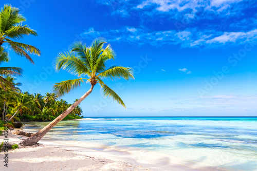 Fototapeta Naklejka Na Ścianę i Meble -  Palm trees on the caribbean tropical beach. Saona Island, Dominican Republic. Vacation travel background