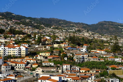 Funchal hillsides and houses, Funchal, Madeira, Portugal © Jerry