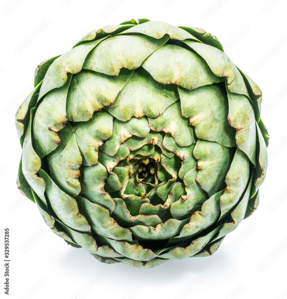 Obraz premium Artichoke flower edible bud isolated on white background.