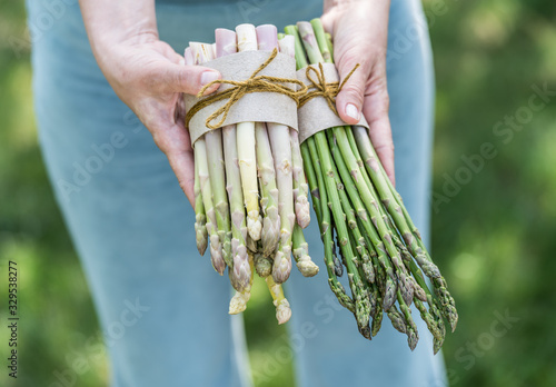 Bundle of white and green asparagus in famer's hands.