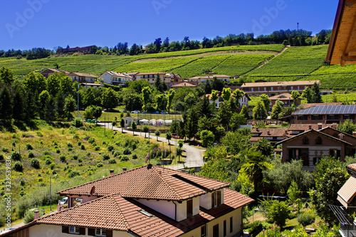 Countryside of Barolo, famous wine production city of Langhe, Piedmont, Italy photo