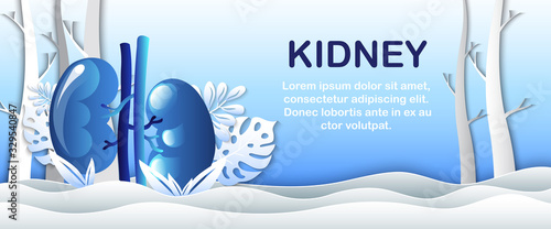 Human kidney ,Technology with flat style.EPS10