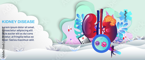 Human kidney ,Technology with flat style.EPS10