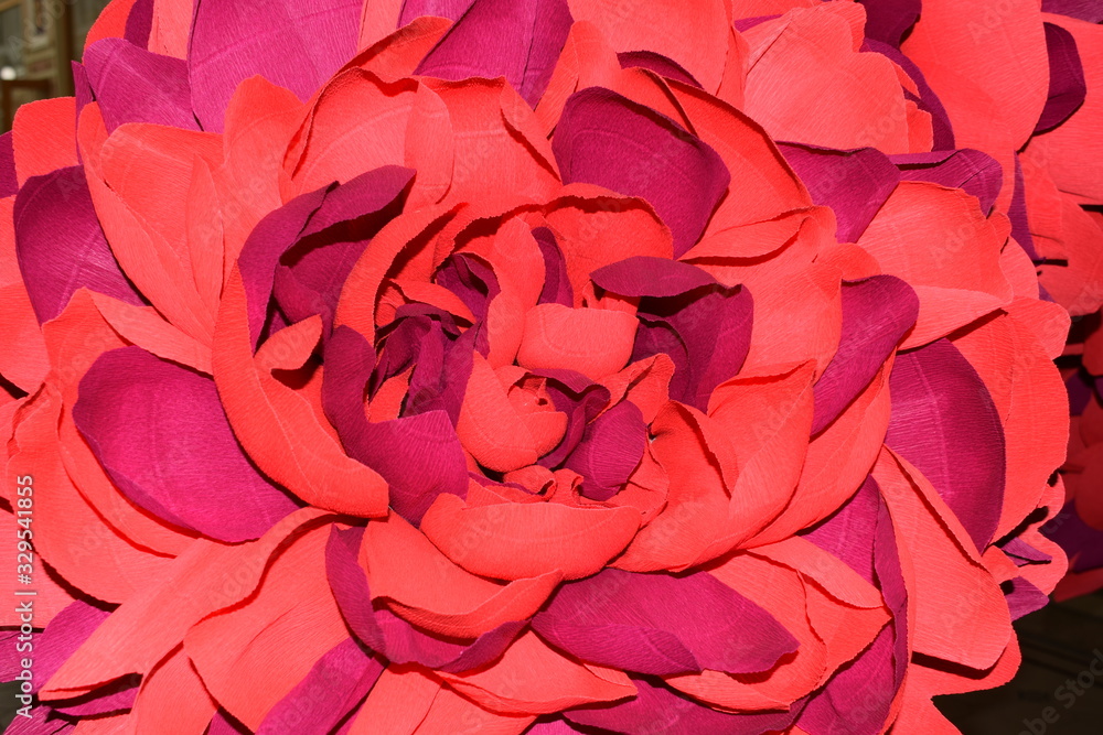 Naklejka premium large pink flower, interior decoration
