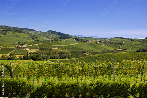 Countryside of Barolo, famous wine production city of Langhe, Piedmont, Italy photo