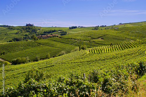 Countryside of Barolo, famous wine production city of Langhe, Piedmont, Italy photo