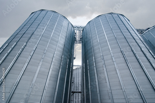 Grain storage in a group of grain corrugated steel tanks. Agricultural business. Bottom perspective of storage Tower Silos