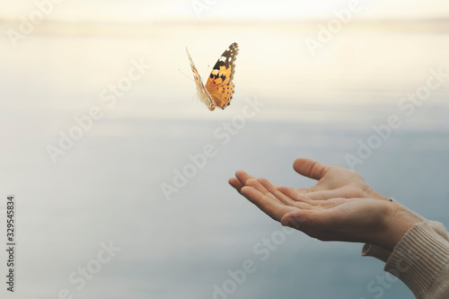 butterfly flies free from a woman's hand photo