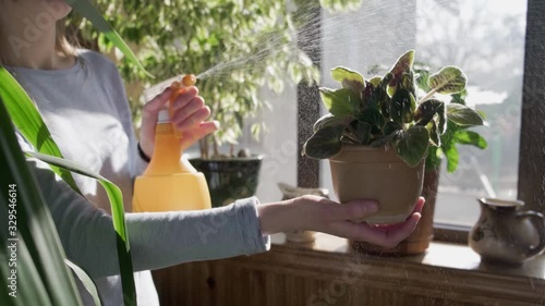 girl sprays water a flower in a pot in a flower corner, closeup, slow motion