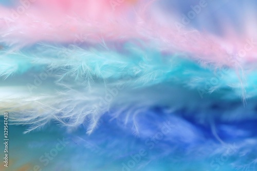 Feathers texture in pastel colors.Blue, pink, turquoise feathers set close-up background.Soft focus. multicolored Fluffy soft background. lightness and softness.