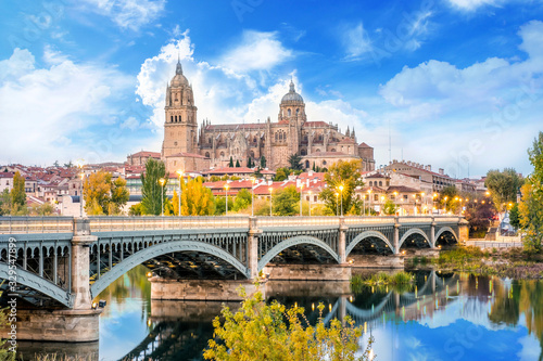 Fotografering Cathedral of Salamanca and bridge over Tormes river