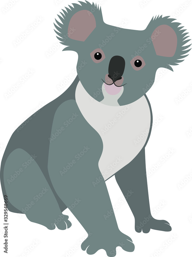 Australian Koala Australian Koala