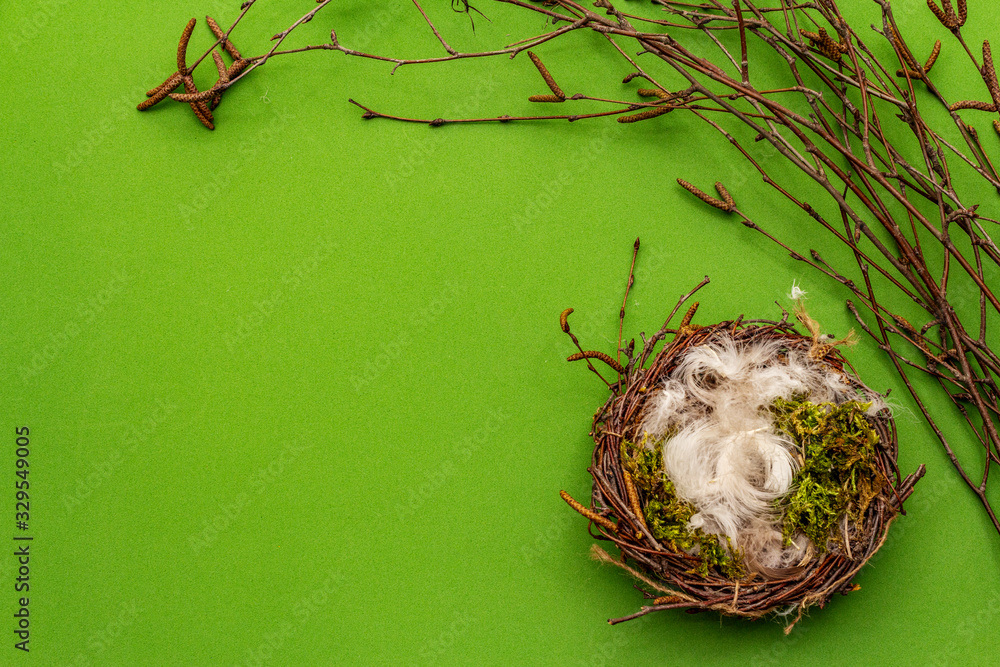Easter zero waste decor, DIY concept. Design element and decor. Bird nest, moss, birch branches, feather. Green background Easter zero waste decor, DIY concept. Design element and decor. Bird nest, moss, birch branches, feather. Green background