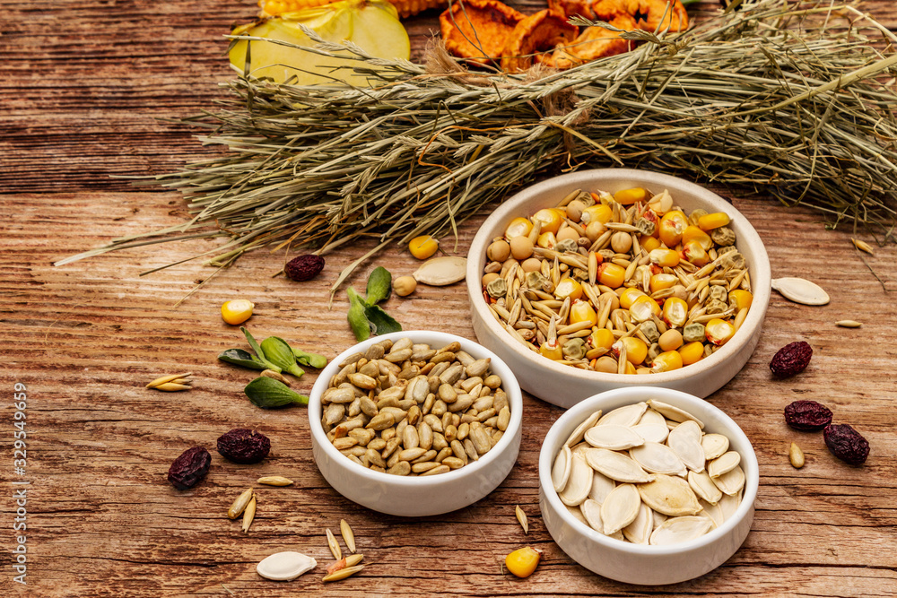 Balanced diet for domestic rodents. Assorted mix of grain and seeds, dry herbs, fresh fruits Balanced diet for domestic rodents. Assorted mix of grain and seeds, dry herbs, fresh fruits