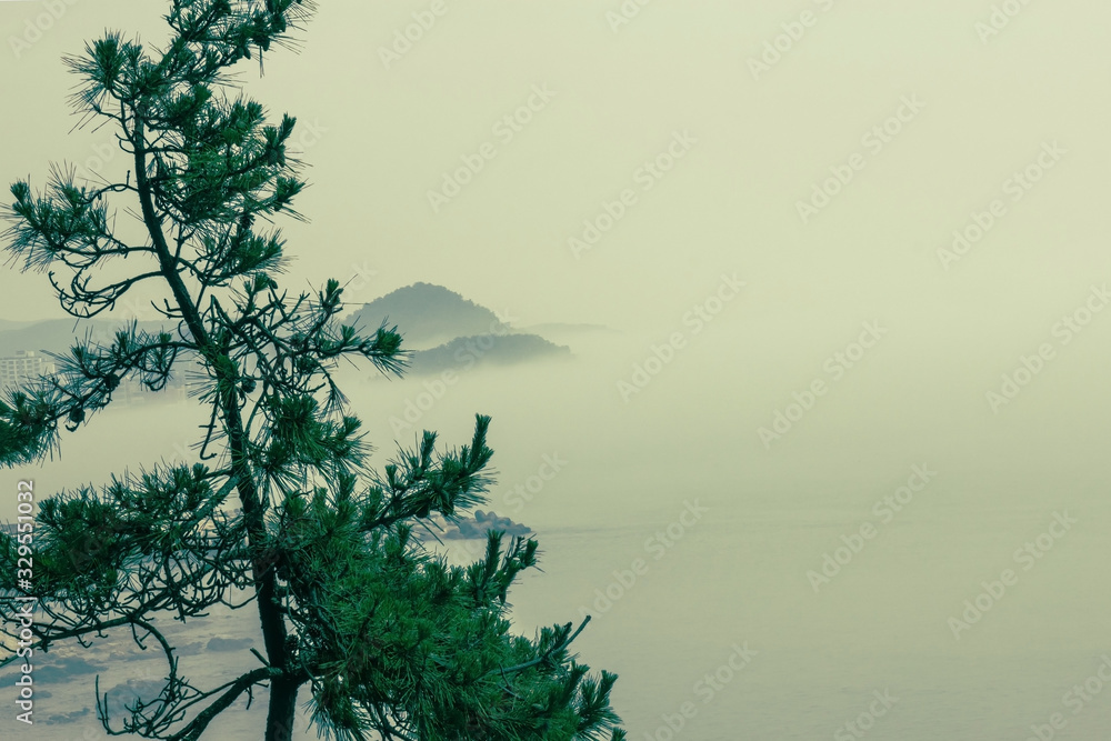 Misty morning in Asia.