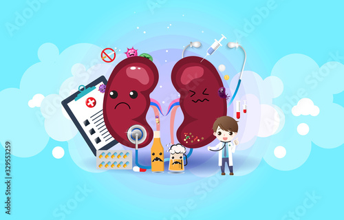 Human kidney ,Cartoon with flat style.EPS10