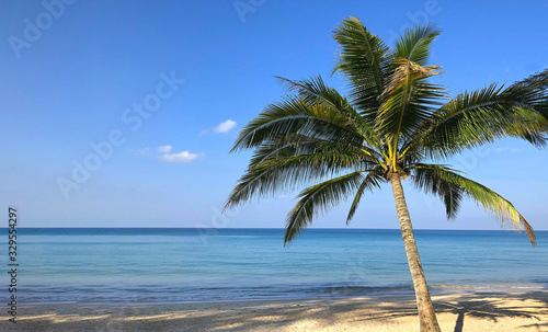 Fototapeta Naklejka Na Ścianę i Meble -  photo palm trees on the background of the ocean in Thailand Phuket