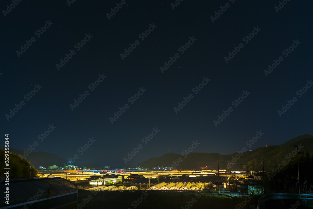 電照栽培 電照栽培