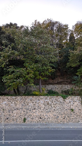 a breathe in the city