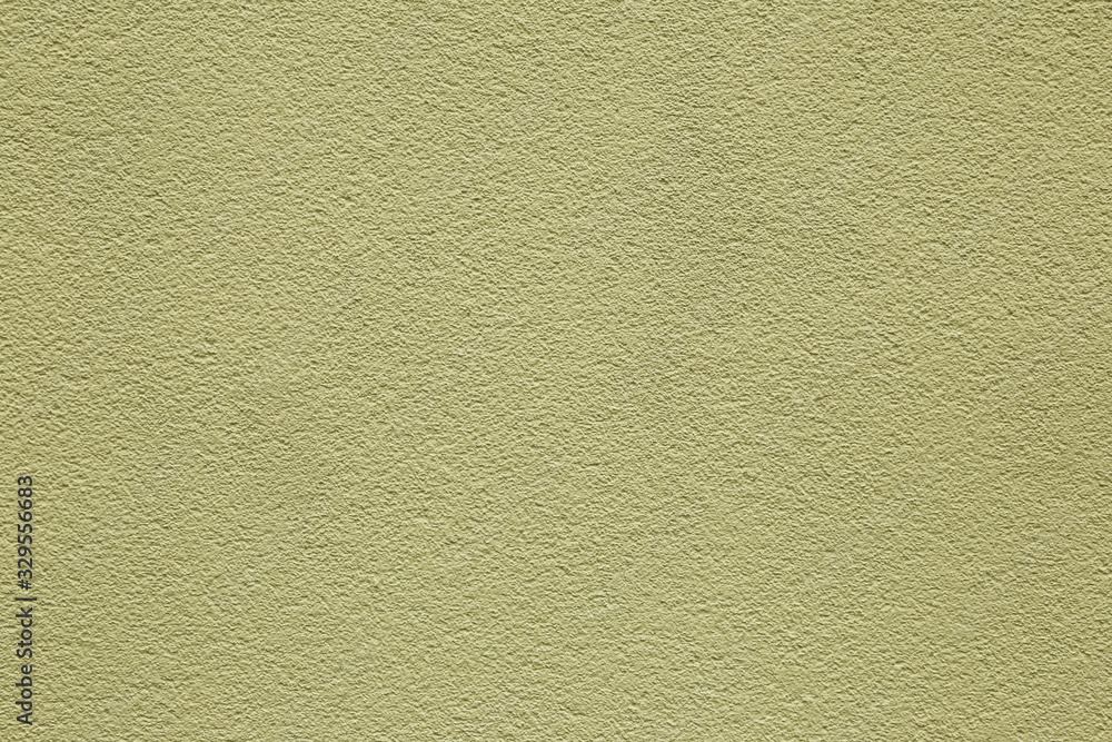 Fototapeta premium Painted plaster. Wall. Background. texture.