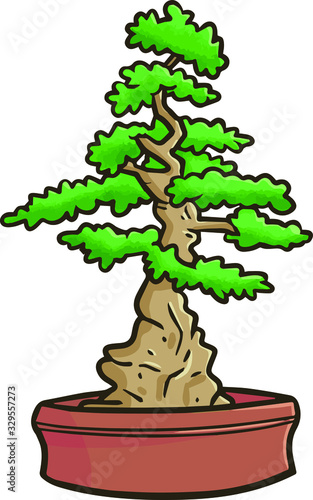 Cute and funny japanese small tree or "bonsai" in small pot