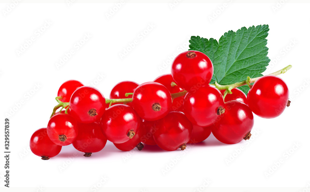 Ripe red currant berries with leaf isolated on white. Ripe red currant berries with leaf isolated on white.