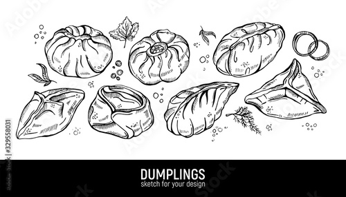 Different dumplings types. Manty, dumplings, pyanse and buuzy. Hand drawing vector sketch.
