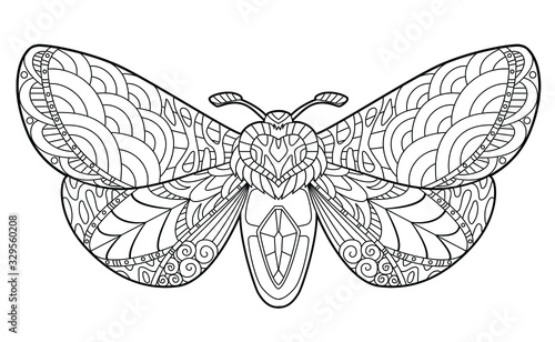 Butterfly coloring page for children and adults. Beautiful drawings with patterns and small details. Hand drawing vector illustration in black outline on a white background