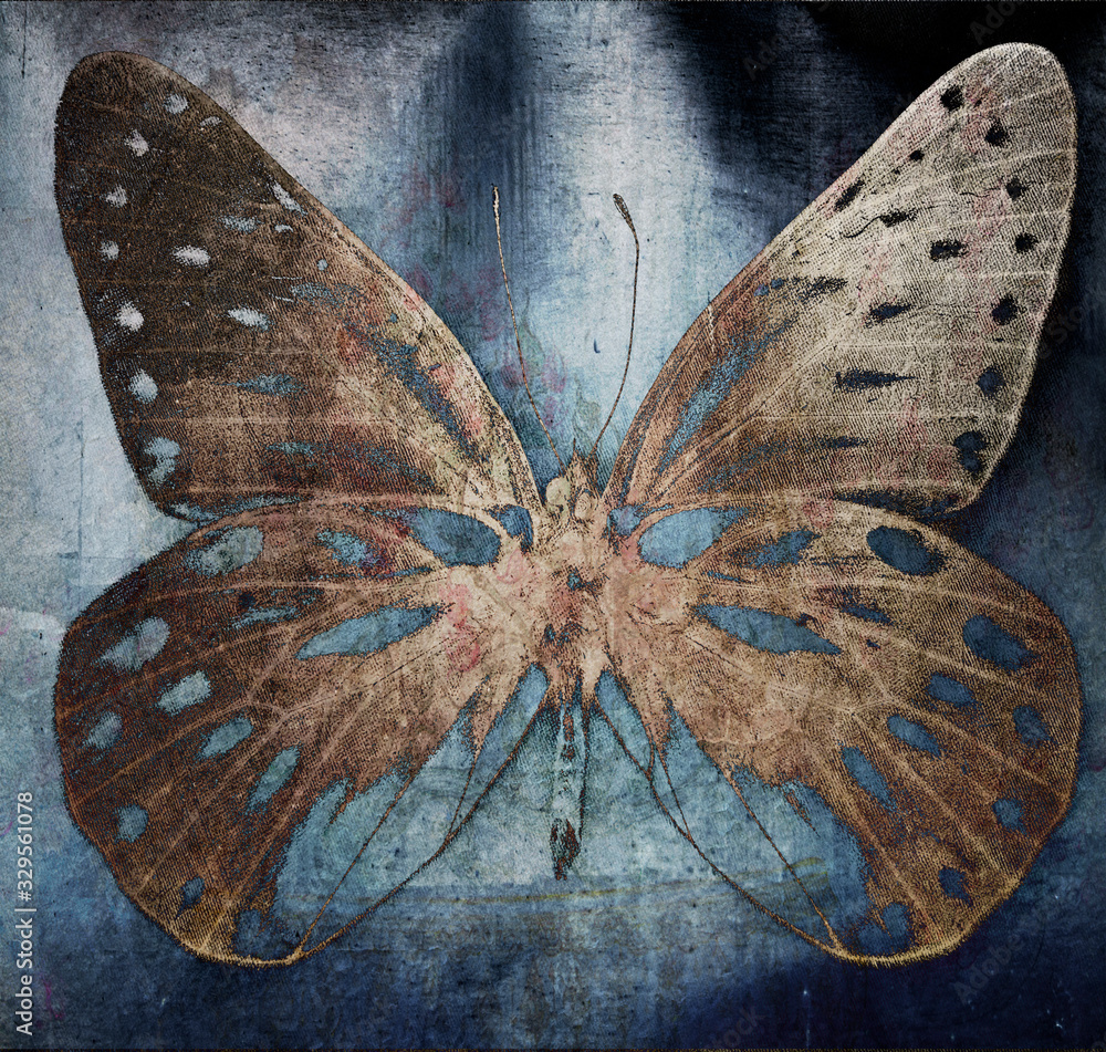 butterfly - obrazy, fototapety, plakaty 