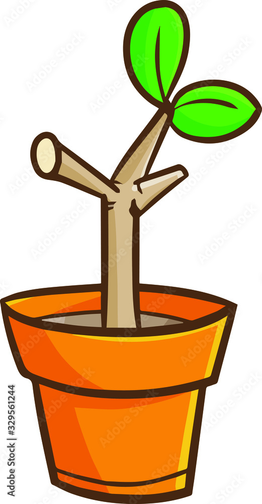 Funny and cute small tree growing in a pot Funny and cute small tree growing in a pot